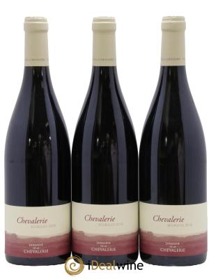 Bourgueil Chevalerie Domaine de la Chevalerie