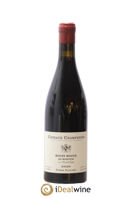Coteaux Champenois Les Mignottes Pierre Paillard