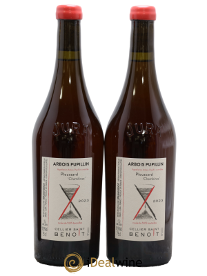 Arbois-Pupillin Ploussard Chambines Cellier Saint Benoît