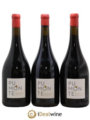 Vin de Corse Calvi Pumonte Domaine Alzipratu