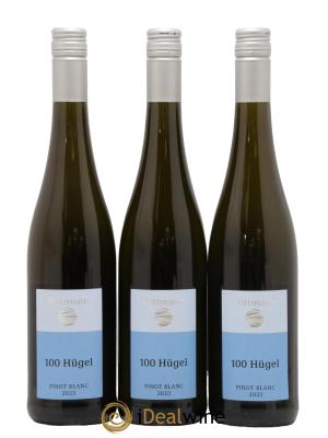 Allemagne Rheinhessen Pinot Blanc 100 Hugel Wittmann