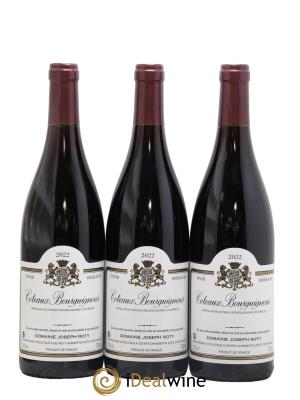 Coteaux Bourguignons Joseph Roty (Domaine)