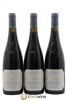 Saumur-Champigny Terres Chaudes Domaine des Roches Neuves - Thierry Germain