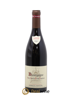 Bourgogne Notre Dame De Bonne Esperance Domaine Dubreuil Fontaine