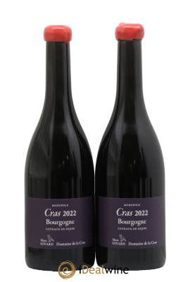 Bourgogne Cras Domaine de la Cras - Marc Soyard