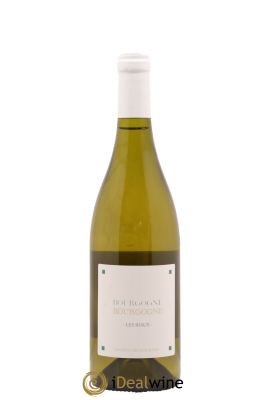 Bourgogne Les Riaux Renaud Boyer