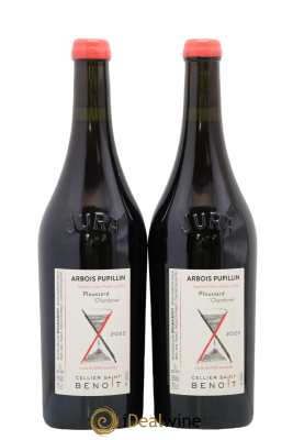 Arbois-Pupillin Ploussard Chambines Cellier Saint Benoît