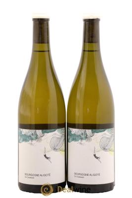 Bourgogne Aligoté En Coulezain Les Horées