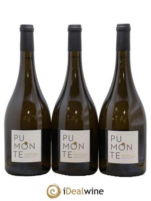 Vin de Corse Calvi Pumonte Domaine Alzipratu