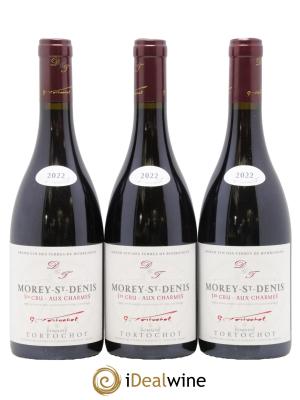 Morey-Saint-Denis 1er Cru Aux Charmes Tortochot (Domaine)