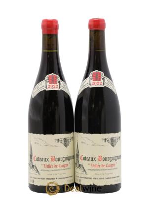 Coteaux Bourguignons Vallée de Coigny Vincent Dauvissat