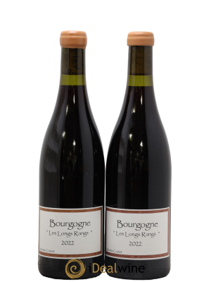 Bourgogne Les Longs Rangs Domaine Maxime Crotet