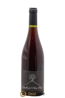 Vin de France Les Petites Orgues Vignoble de l'Arbre Blanc
