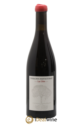 Vin de France La Côte Jérôme Bretaudeau - Domaine de Bellevue