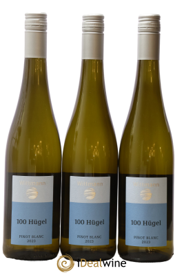 Allemagne Rheinhessen Trocken 100 Hugel Pinot Blanc Wittmann