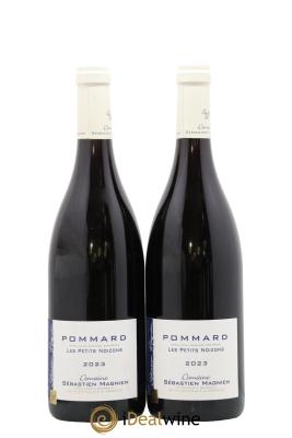 Pommard Les Petits Noizons Sébastien Magnien