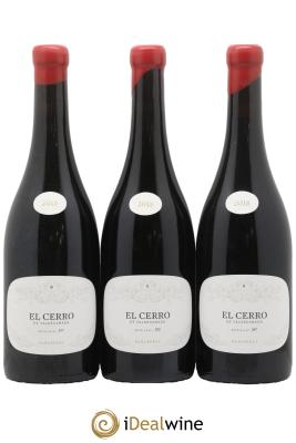 Bierzo DO El Cerro de Valdecanada R.Perez
