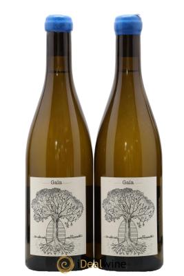 Muscadet-Sèvre-et-Maine Gaia Jérôme Bretaudeau - Domaine de Bellevue
