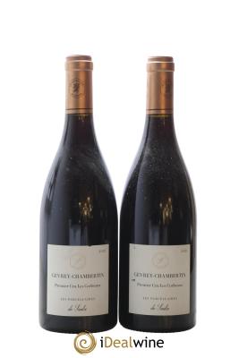 Gevrey-Chambertin 1er Cru Les Corbeaux Les Parcellaires de Saulx