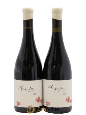 Bourgogne Mon Poulain Jérémy Carteret La Vigne De Bernard