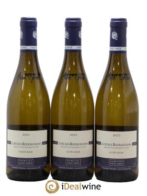 Coteaux Bourguignons Cuvée Julie Anne Gros