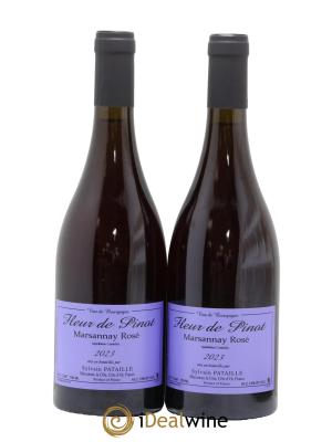 Marsannay Fleur de Pinot Sylvain Pataille (Domaine)