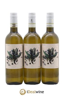 Italie Romagna Delyus Albana Secco Marta Valpiani