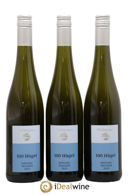 Allemagne Rheinhessen Riesling Trocken 100 Hugel Wittmann