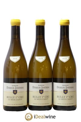 Rully 1er Cru Le Meix Cadot Vincent Dureuil-Janthial