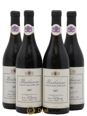Barbaresco DOCG Castiglione Falletto Terre del Barolo