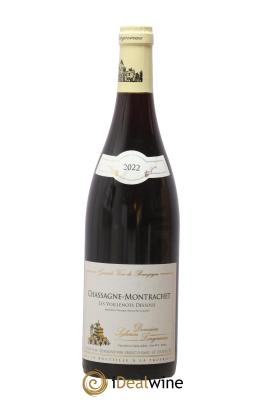 Chassagne-Montrachet Les Voillenots Dessous Sylvain Langoureau