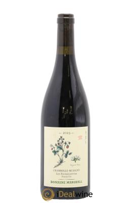 Chambolle-Musigny 1er Cru Les Feusselottes Domaine Marshall