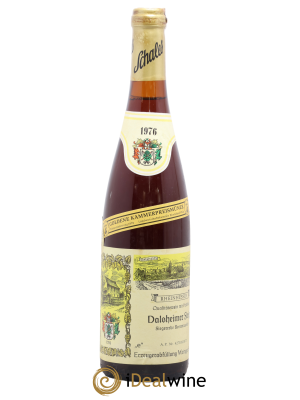 Allemagne Rheinhessen Dalsheimer Steig Weingut Schales
