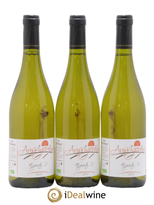 Vin de France Experto R Les Aussigouins Dominique Dufour