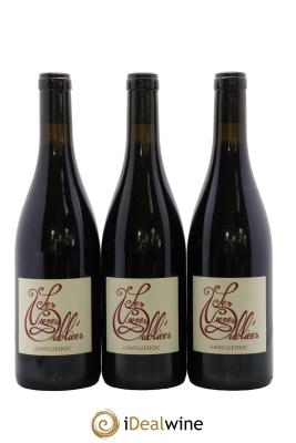 Languedoc Les Vignes Oubliées Autour du Cinsault Jean-Baptiste Granier