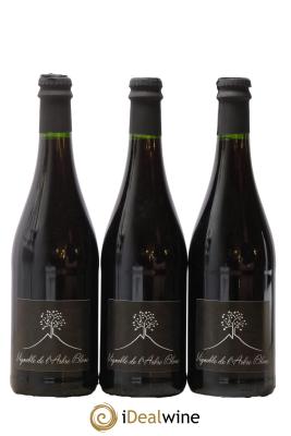 Vin de France Les Grandes Orgues Vignoble de l'Arbre Blanc 
