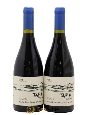 Chili Atacama Valley Syrah Ventisquero Tara