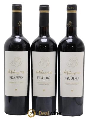 Ribera Del Duero DO Milagros De Figuero