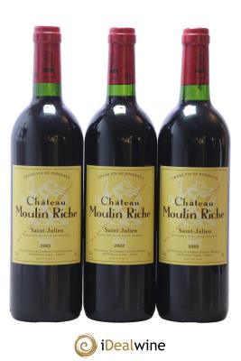 Château Moulin Riche