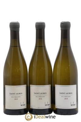 Saint-Aubin En l'Ebaupin Lamy-Caillat (Domaine)