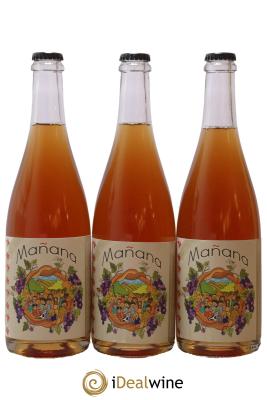 Vin de France Manana Domaine Du Petit Bouchon