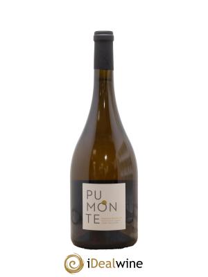 Vin de Corse Calvi Pumonte Domaine Alzipratu