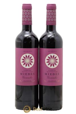 Espagne Catalayud Vinas de Miedes Bodegas San Alejandro