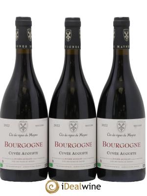 Bourgogne Cuvée Auguste Les Vignes du Maynes