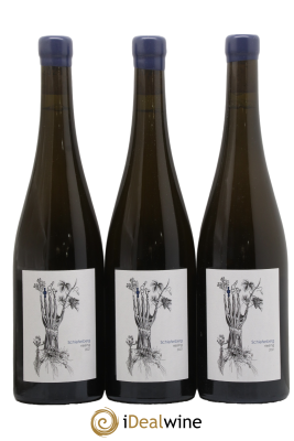 Alsace Riesling Schieferberg Soil Therapy