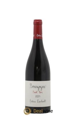 Bourgogne Pinot Noir Antoine Lienhardt