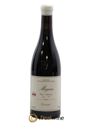 Vinos Atlanticos - Islas Canarias Migan Envinate