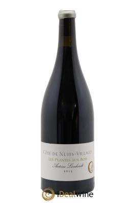 Côte de Nuits-Villages Les Plantes aux bois Antoine Lienhardt