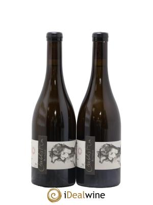 Chablis 1er Cru Butteaux Pattes Loup (Domaine)