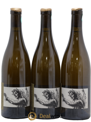 Chablis 1er Cru Butteaux Pattes Loup (Domaine)